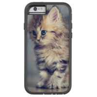 Cute Cat iPhone 6 Case / Cover / Protection