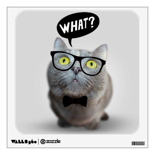 Cute Cat kitten with glasses what quote funny Room Graphic