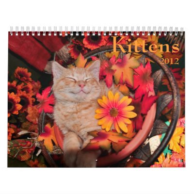 Kitty Calendar