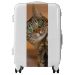 Cute Cat Luggage