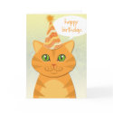 Cute Cat Orange Tabby Happy Birthday Cards