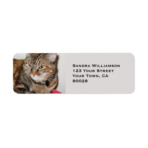 Cute cat return address label