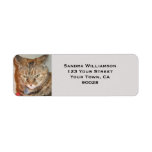 Cute cat return address labels