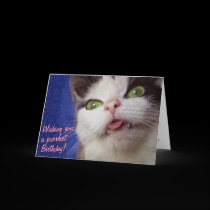 Cute Cat (with customizable text) cards