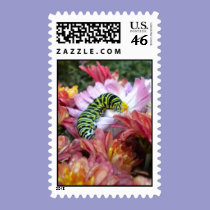 Cute Caterpillar Postage stamps