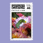 Cute Caterpillar Postage postage