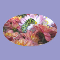 Cute Caterpillar Stickers stickers
