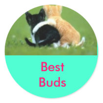 cute_cats, Best Buds, Like these guys:) stickers