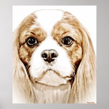 Cute Cavalier King Charles Spaniel Posters