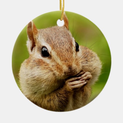 cute cheeky chipmunk christmas tree ornament zazzle chip n dale christmas ornaments
