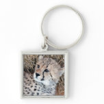 Cute Cheetah Cub Photo Keychain