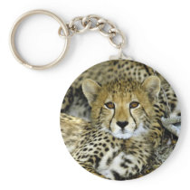 Cute Cheetah Keychains