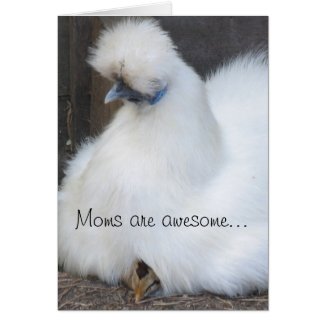 Cute chick/ chicken Mother's day card card