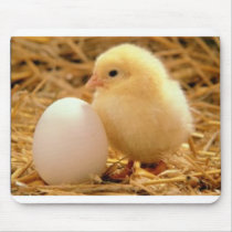 Cute chicken mouse pad mousepads