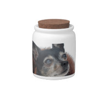 Cute Chihuahua Photos Candy Jar