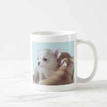 Cute chihuahua puppies mugs