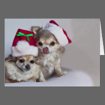 Cute chihuahuas Christmas Card cards