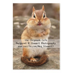 Cute Chipmunk Business Cards