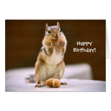 Cute Chipmunk Eating a Peanut Greeting Card