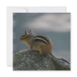 Cute Chipmunk Invitations