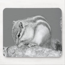 Cute Chipmunk. Mouse Pad