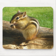 Cute Chipmunk Mousepads