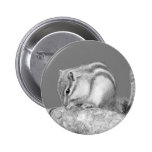 Cute Chipmunk. buttons