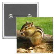Cute Chipmunk Pin