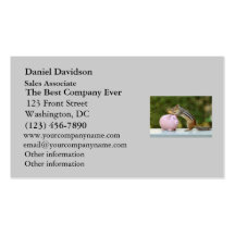 Cute Chipmunk with Funny Money Piggy Bank Picture Business Card Templates