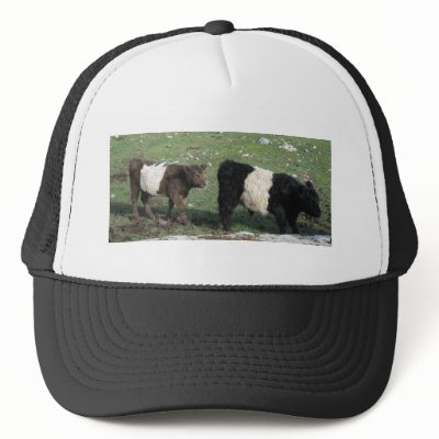 Cute Chocolate & Black Belted Calves Trucker Hat