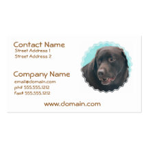 Cute Chocolate Lab Business Cards