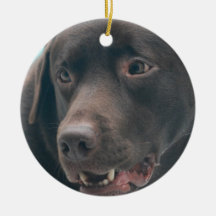 Cute Chocolate Lab Christmas Ornament