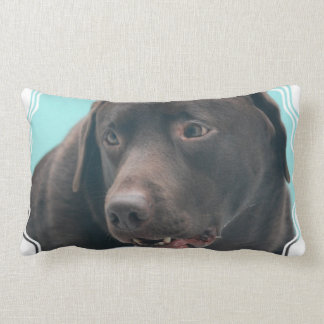 chocolate labrador pillow