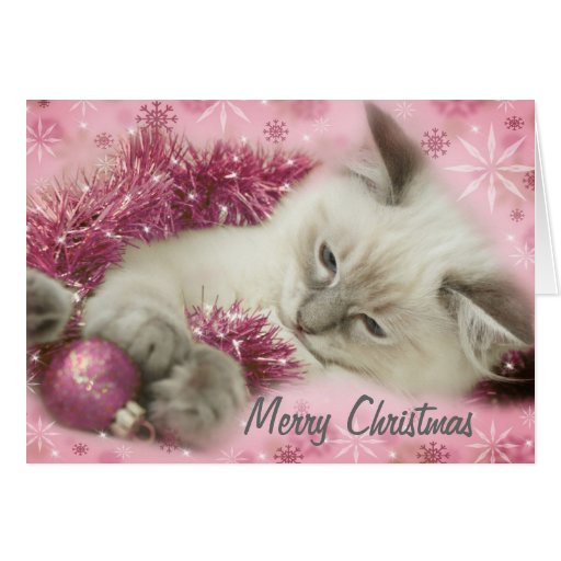 cute christmas card