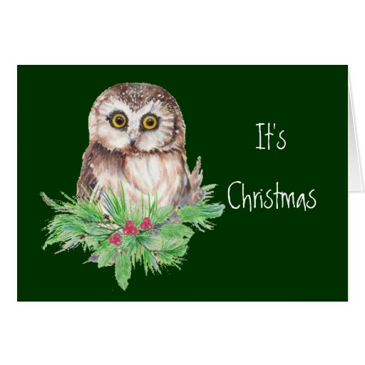 Cute Christmas Owl Humor, Watercolor Bird Card Zazzle