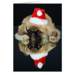 Cute Christmas Puppy card