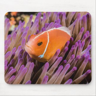 Cute Clownfish Mousepad