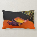Cute Clownfish on the Great Barrier Reef Pillows