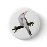 Cute Cockatiel on Ivy Perch Buttons