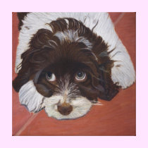 Cute Cocker Spaniel Dog Stretched Canvas Print canvas prints