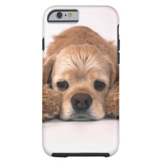 Cute Cocker Spaniel iPhone 6 Case
