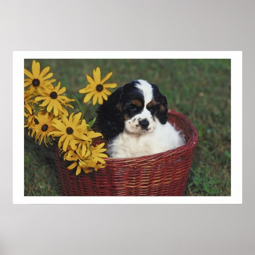 Cute Cocker Spaniel Puppy Flower Basket Print print