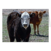 Cute Congratulations Vet Graduate - Ranch Farm DVM Card