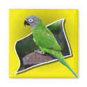 Cute Conure Parrot Bird Magnet