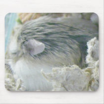 Cute Cookie Snoozing mousepads