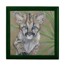 cute cougar kitten wildlife realist art gift box