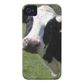 Cute Cow iPhone 4 Case