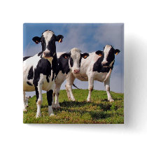 Cute cows Button