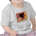 Cute, Cuddly Chick shirt (2)
