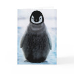 Cute Cuddly Penguin Lover Art Gift Card